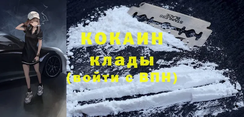 COCAIN Fish Scale  Бобров 